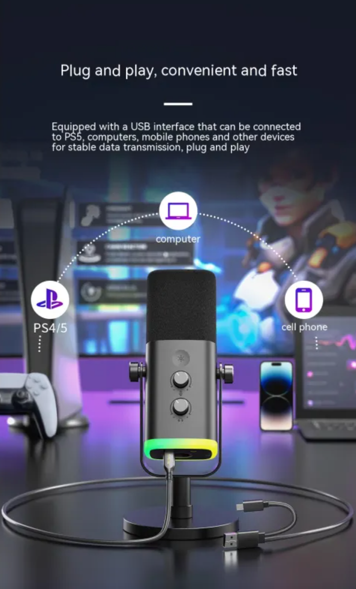 Noise Reduction Microphone
